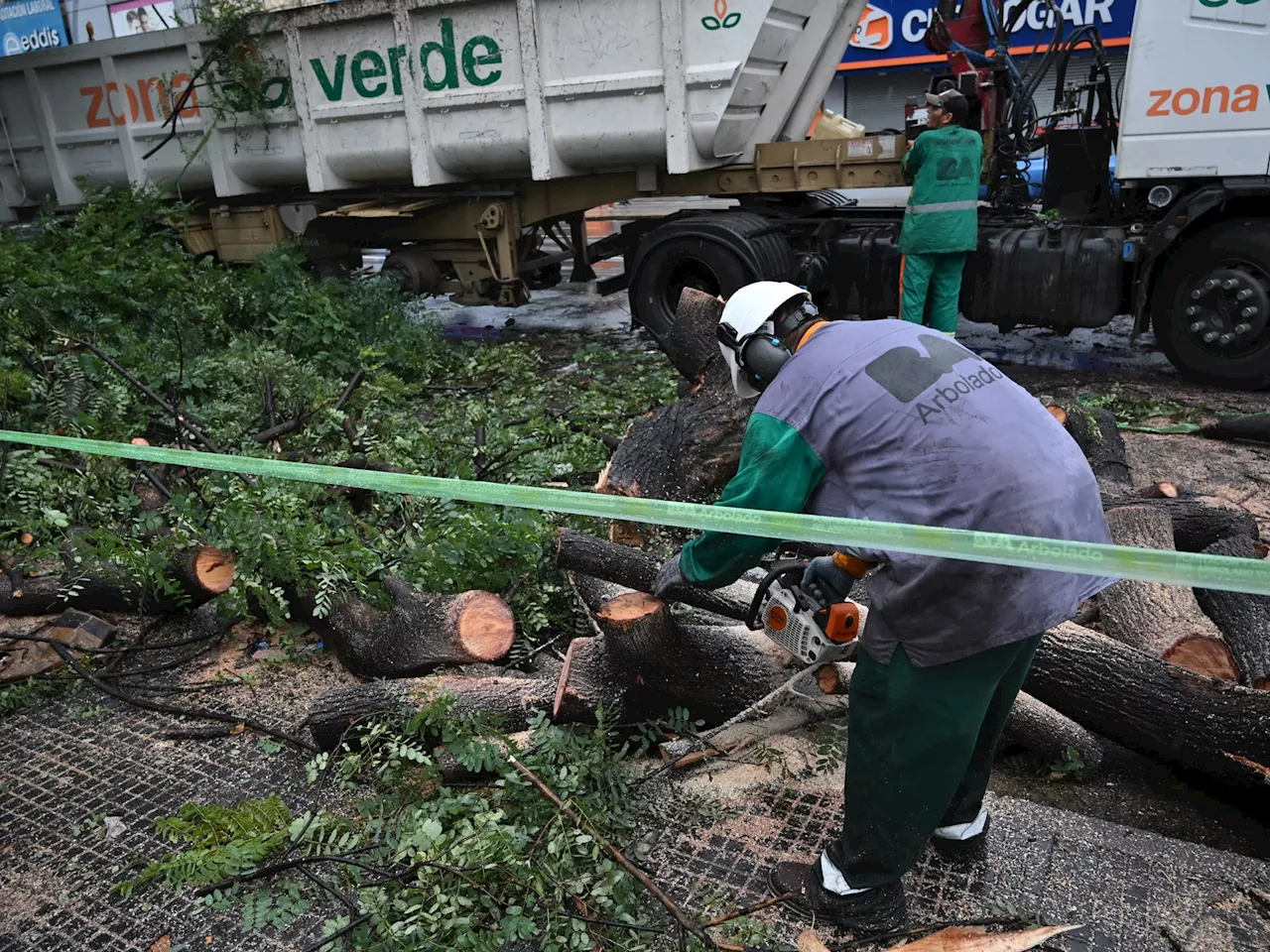 Temporal en Buenos Aires: las tormentas severas golpearon también a Mar del Plata y llegaron a la Ciudad con fuertes ráfagas de viento