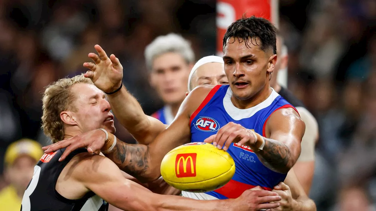 ‘Got to take a chance on him’: Pies great pleads with former club to pursue troubled Dog