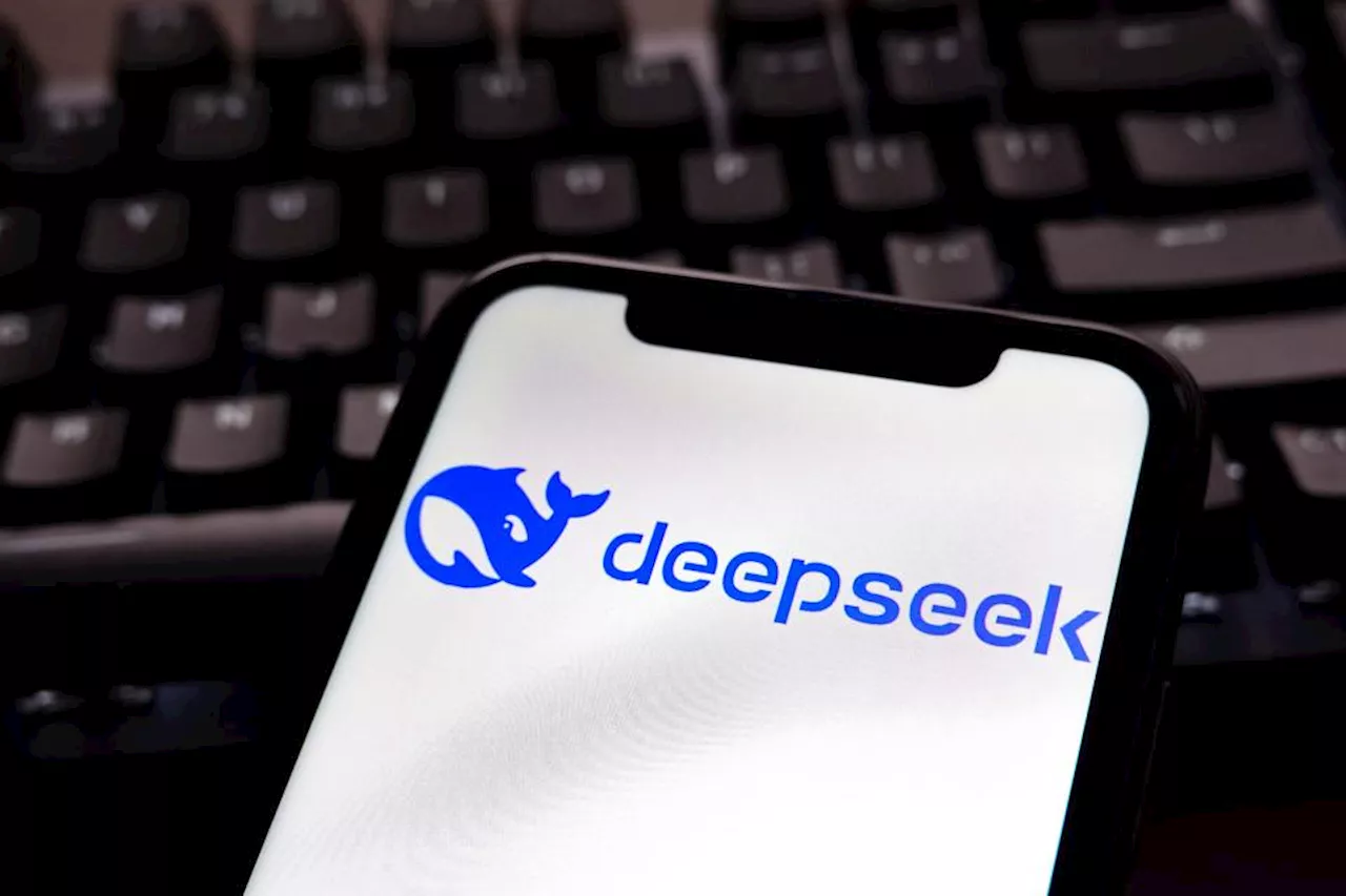 Statens IT lukker for adgangen til DeepSeek