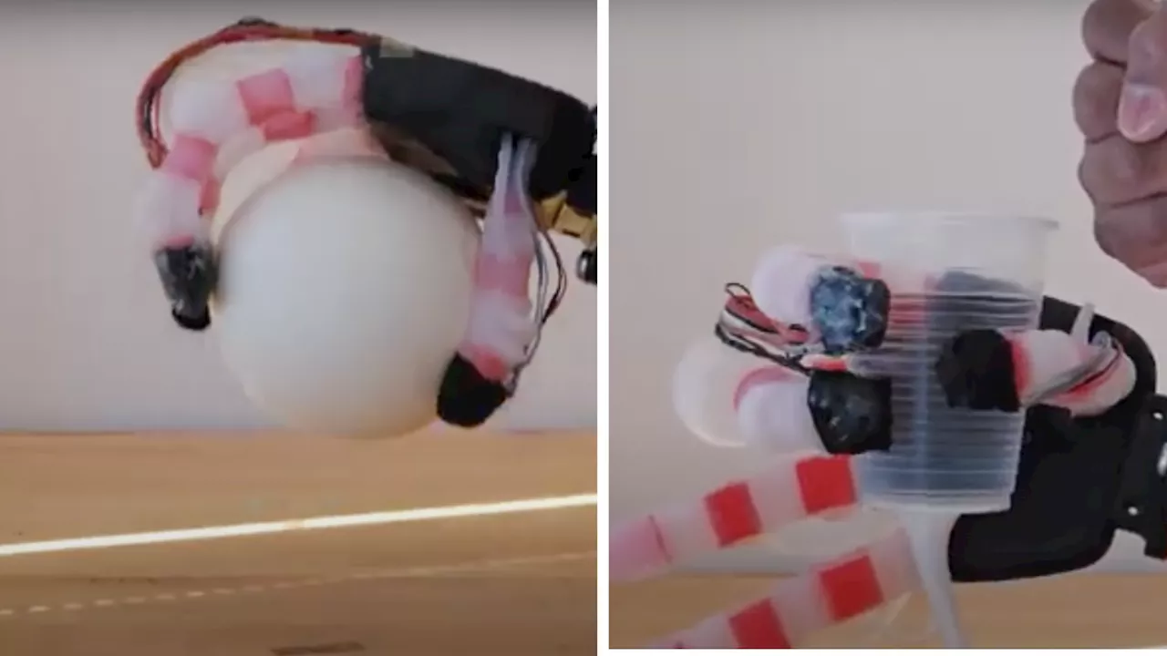 Robotic hand grips toys, bottles like humans with 99.69% accuracy, avoids mishandling