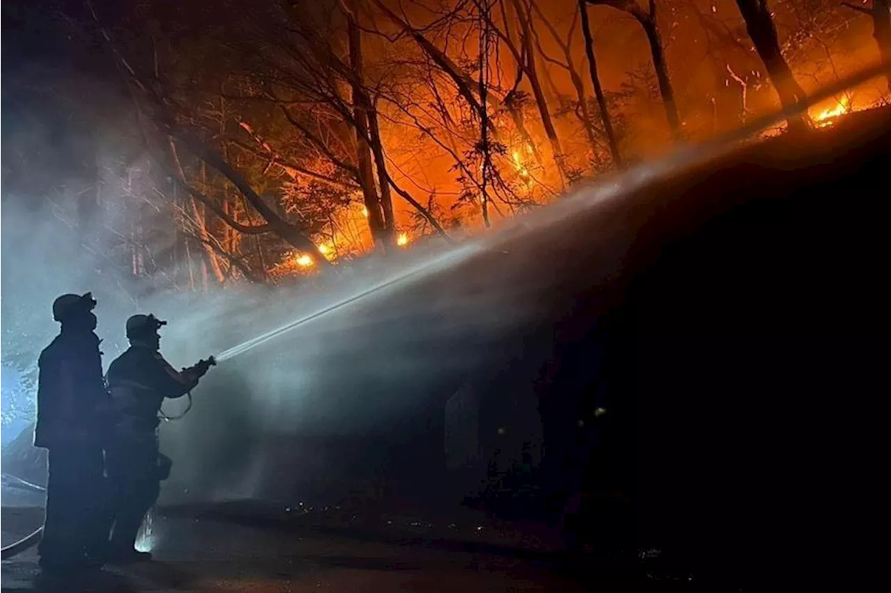 Japan's worst wildfire in 50 years brought under control, says mayor