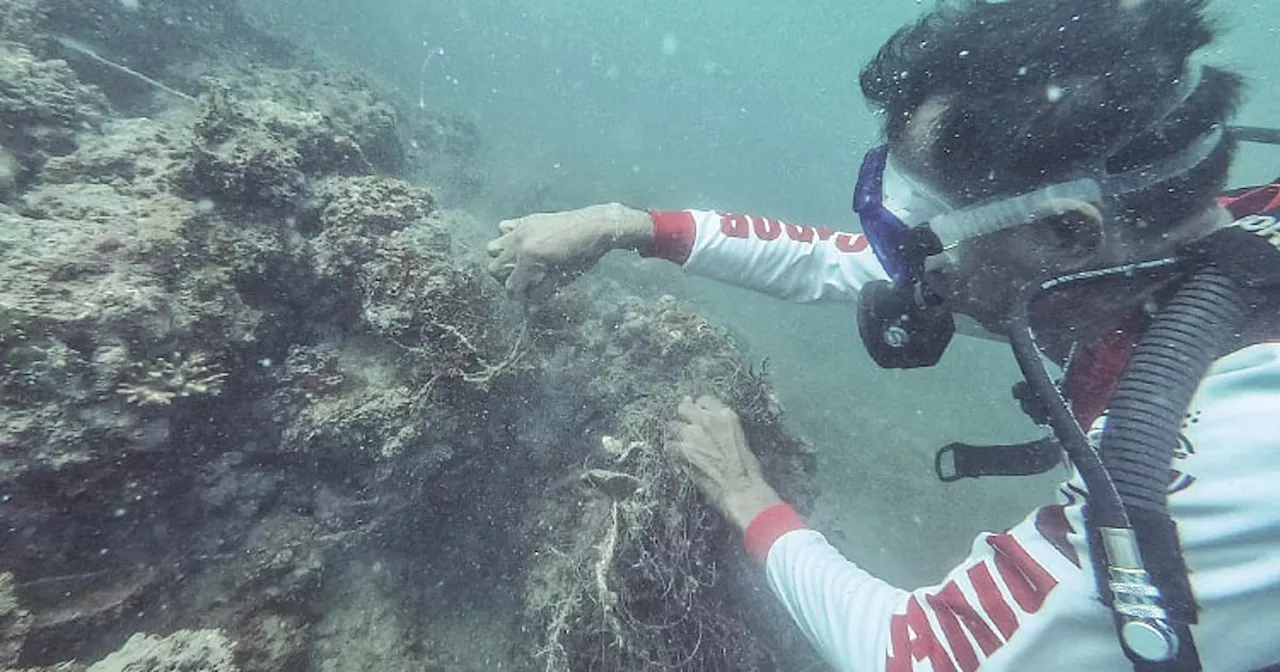 Isda, corals gipabuthan