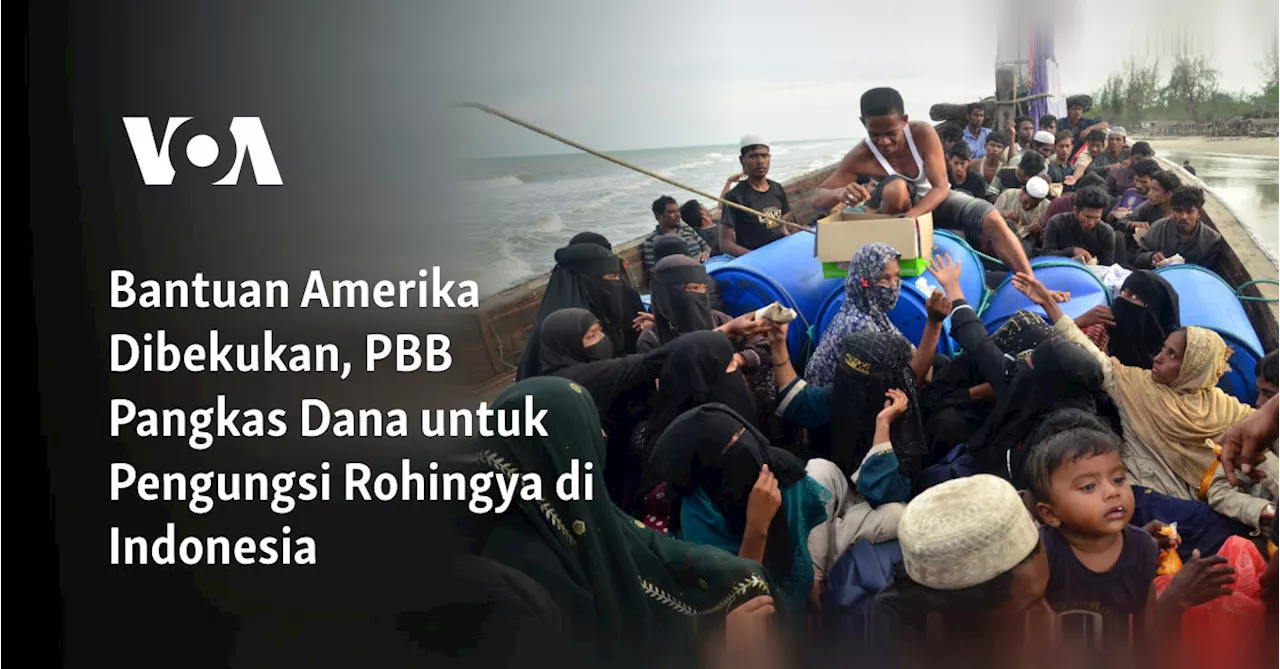 Bantuan Amerika Dibekukan, PBB Pangkas Dana untuk Pengungsi Rohingya di Indonesia
