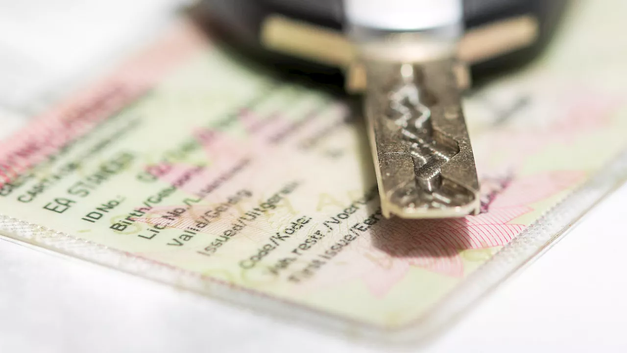 JP Smith calls driver's licence debacle 'unacceptable'