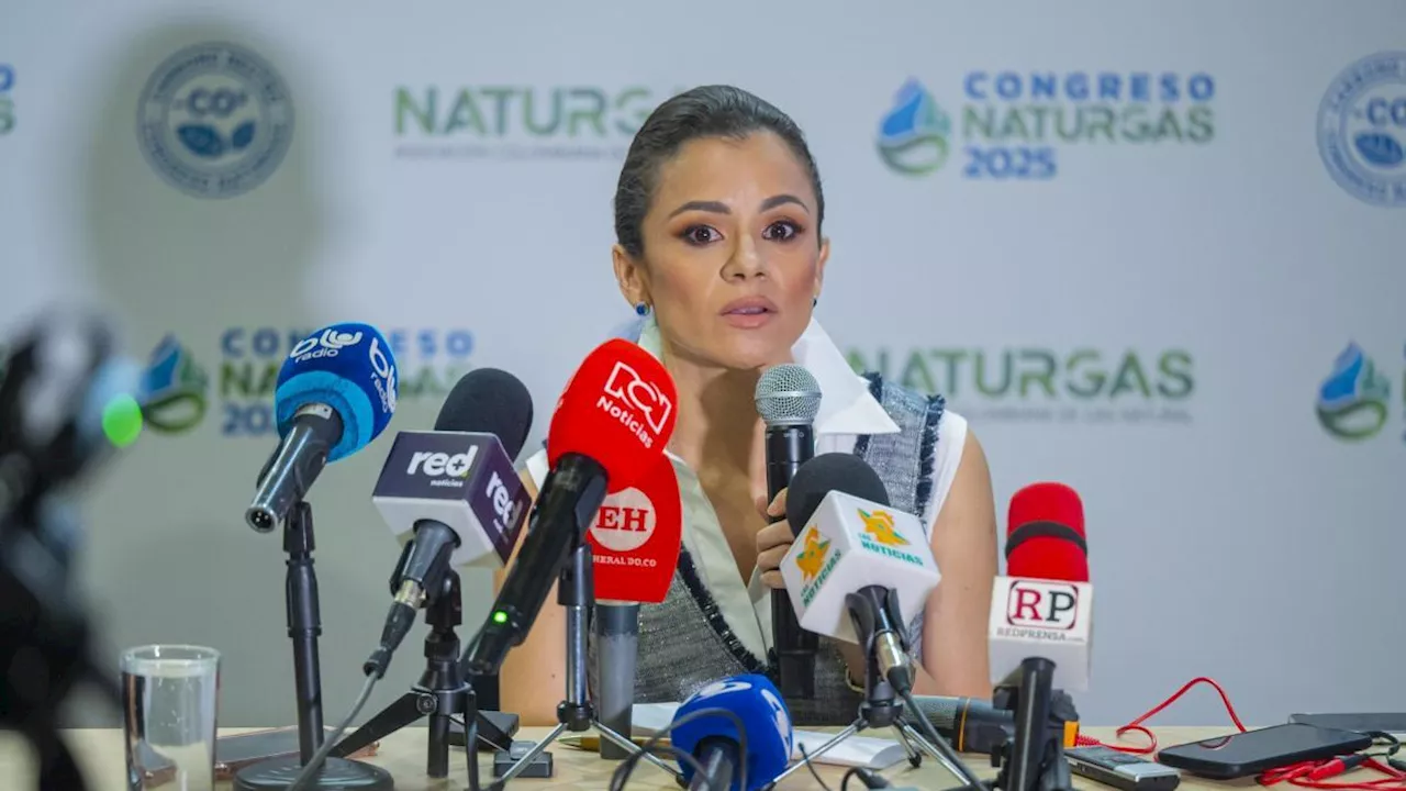 Estos son los proyectos de los que depende Colombia para recuperar su autosuficiencia y dejar de importar gas