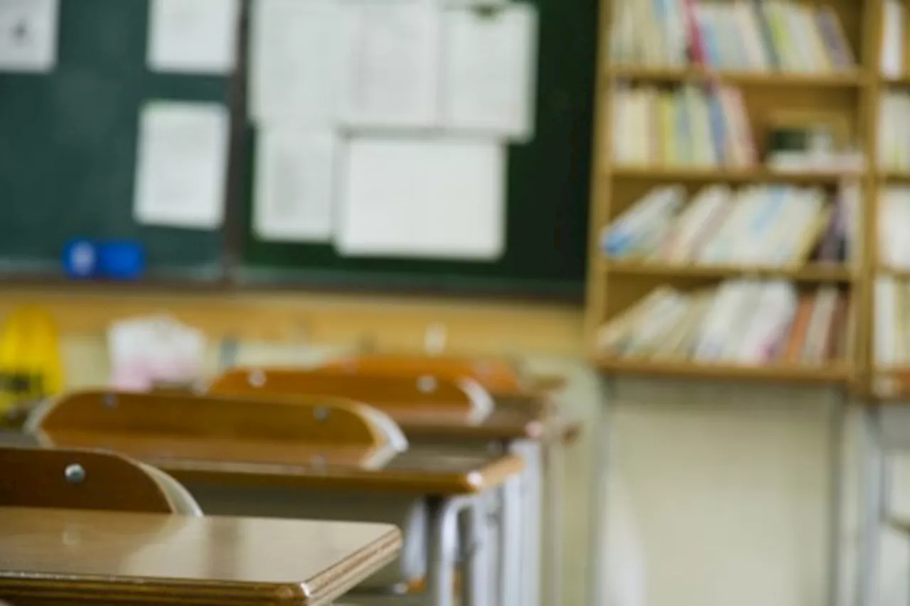 Gauteng Education ends partnership with organisation after rape of Grade 3 pupil