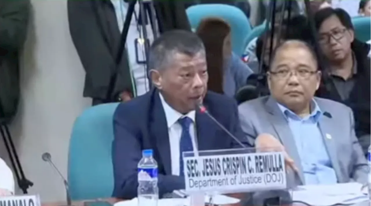 SOJ Remulla to Senate panel: I cleared Duterte arrest, flight to The Hague