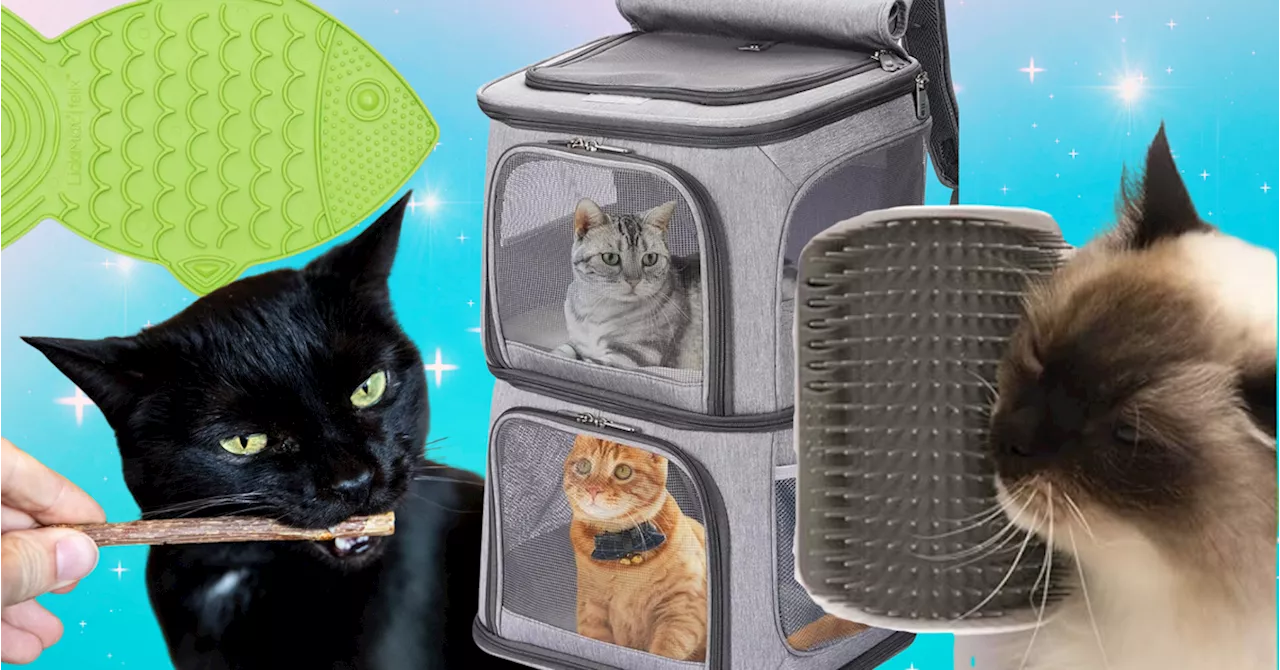 36 Things That'll Really Come In Handy If You Live With Two Or More Cats