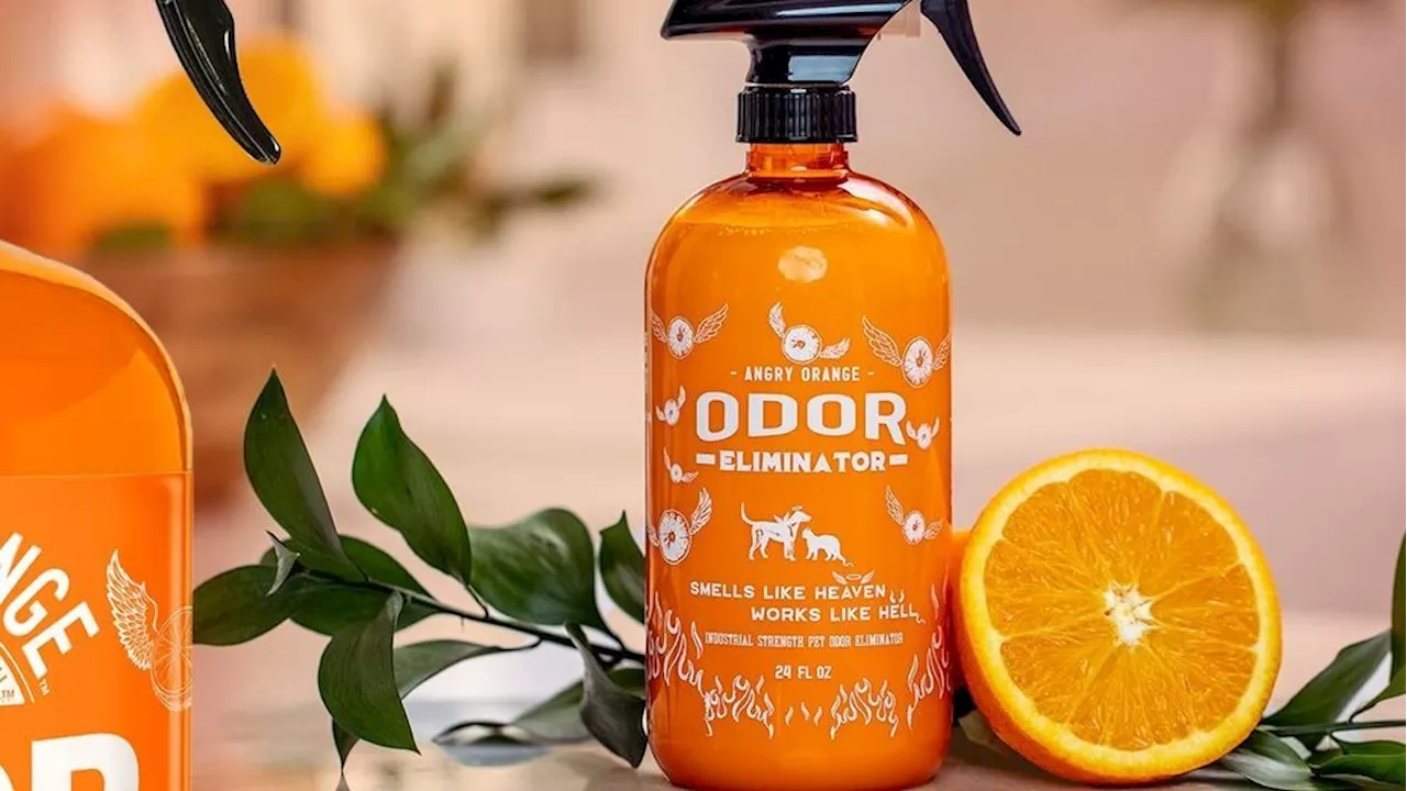 Spring Cleaning: 9 products and tools to transform your cleaning game