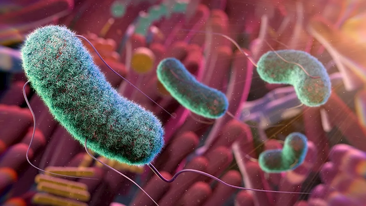 Harnessing the Microbiome to Treat Melanoma: Can It Work?