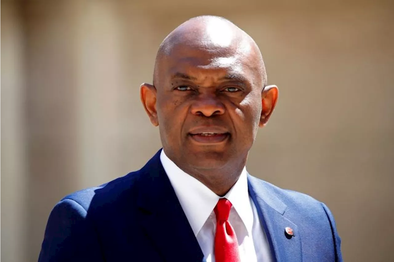 Pay GenCos to avoid power sector collapse, Elumelu tells FG