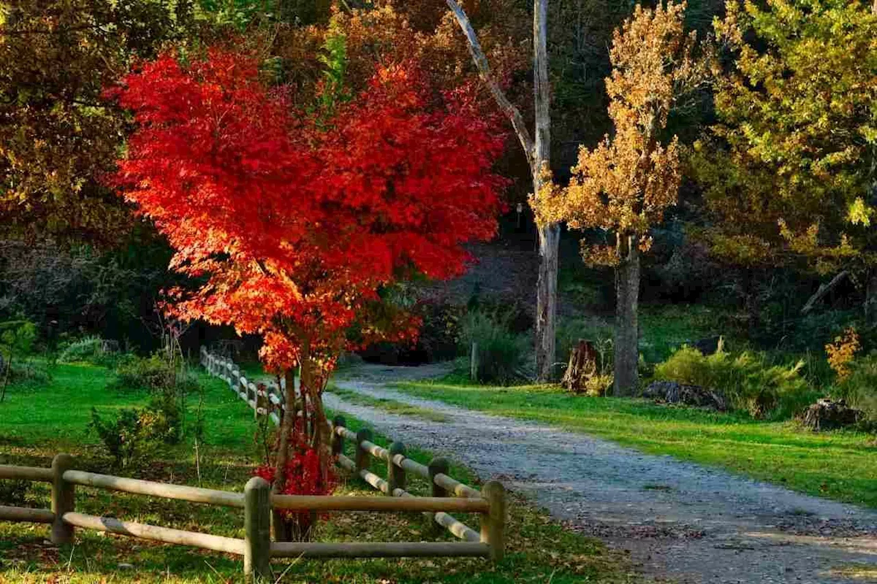 Six family-friendly small towns to visit in SA this Easter weekend