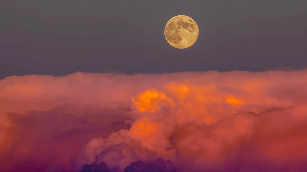 Full Moon in April 2025: How the Pink Moon Can Illuminate Relationship Issues