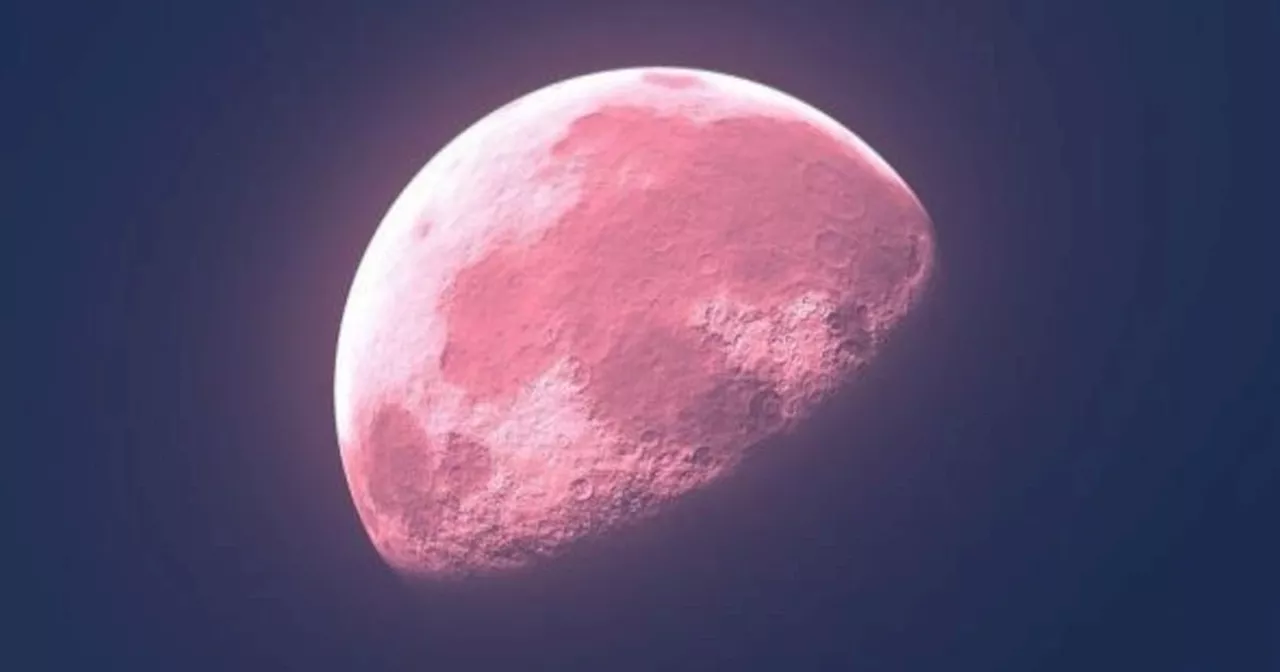 Conozca los rituales más efectivos para manifestar el amor en la Luna Rosa de este 17 de abril