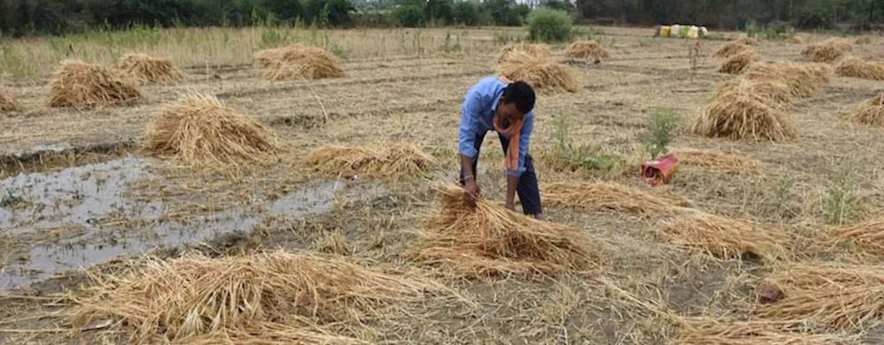 UP Weather : आंधी और बारिश से प्रदेश में 14 मौतें, मौसम विभाग ने जारी किया ये अलर्ट; सोमवार से ऐसा रहेगा हाल