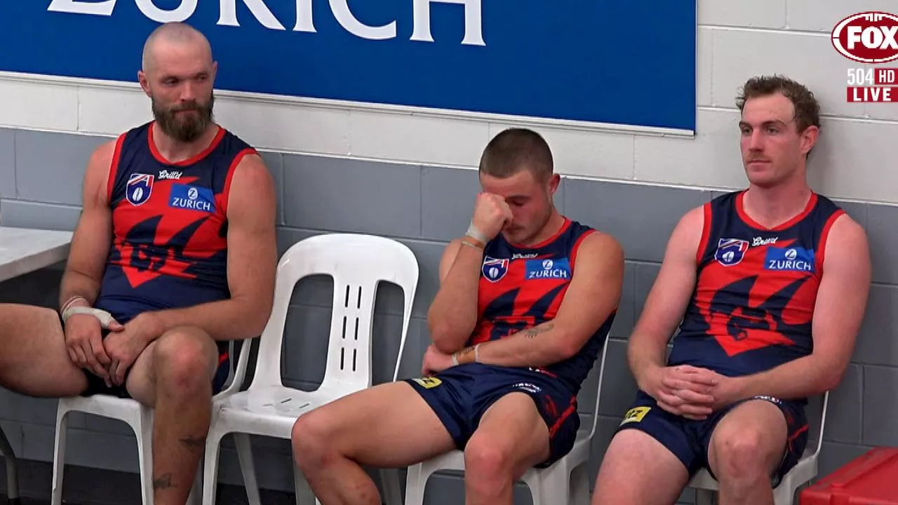 ‘They’re broken’: Glaring Demons ‘flaw’ exposed in 13-yr low amid fresh Petracca report