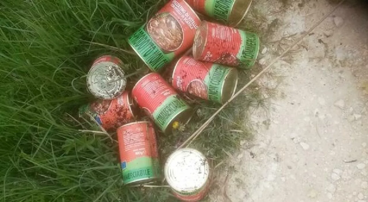 Cibo per le famiglie in difficoltà trovato tra i rifiuti: sui social piovono offese a Caritas e Servizi social