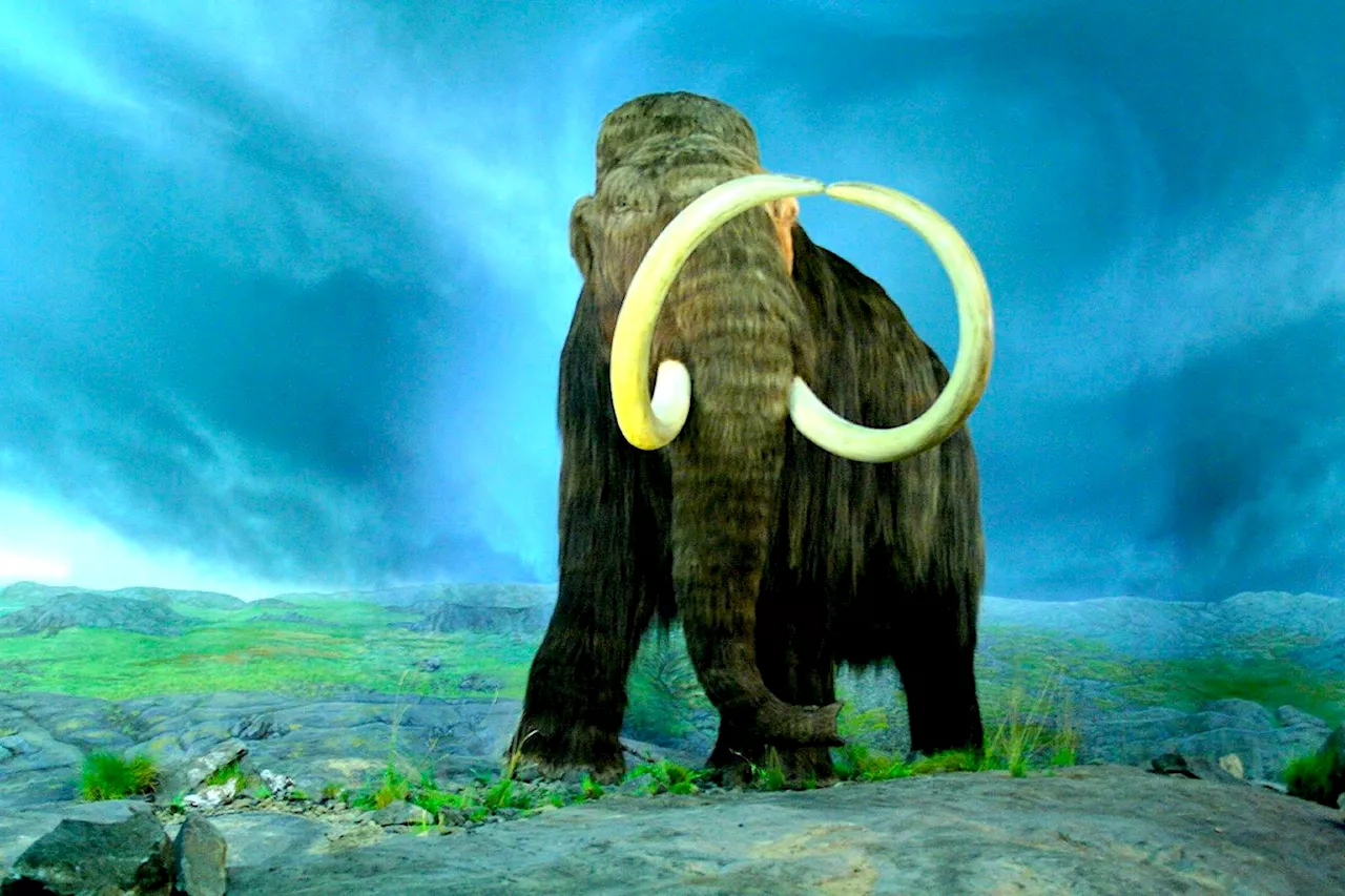 Can we really resurrect extinct animals, or are we just creating hi-tech lookalikes?