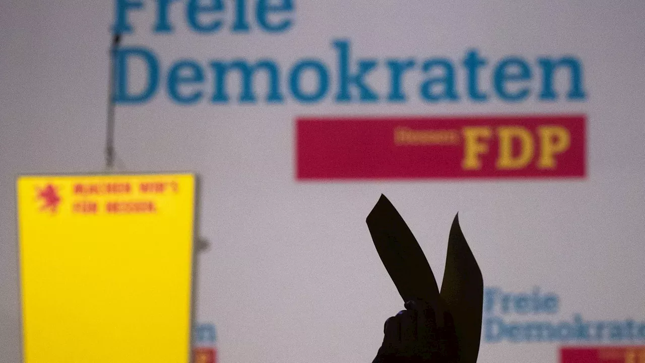 Landesparteitag: FDP wählt neue Spitze - Schniebel will Partei neu aufstellen