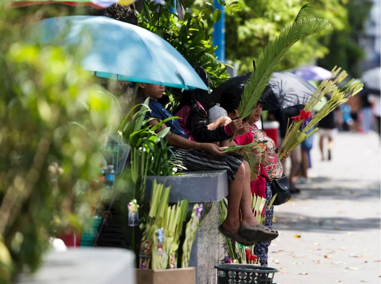 Palm Sunday: a tradition that unites Filipino families