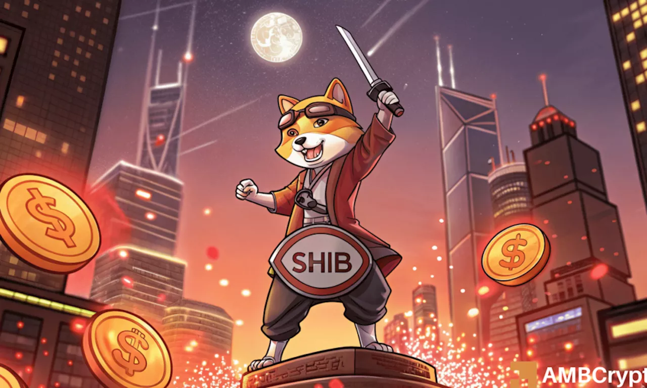 Shiba Inu [SHIB] price prediction – A 70% rally next after 900%+ burn rate hike?