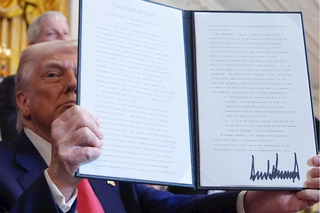 Trump goes with his gut and the world goes along for the ride