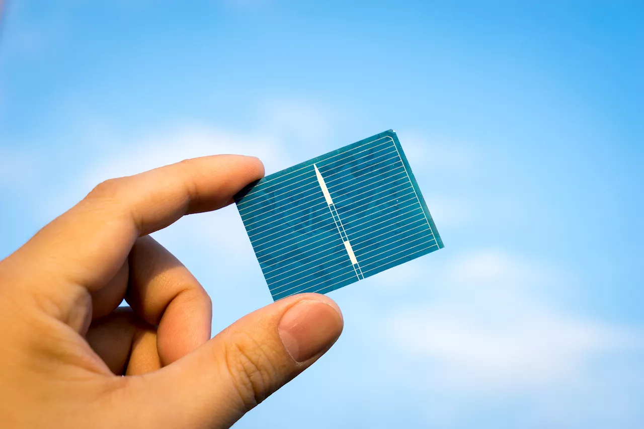Korean scientists achieve 23.64% efficiency with lift-off perovskite tandem solar cell