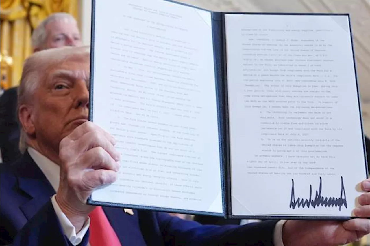 Trump goes with his gut and the world goes along for the ride