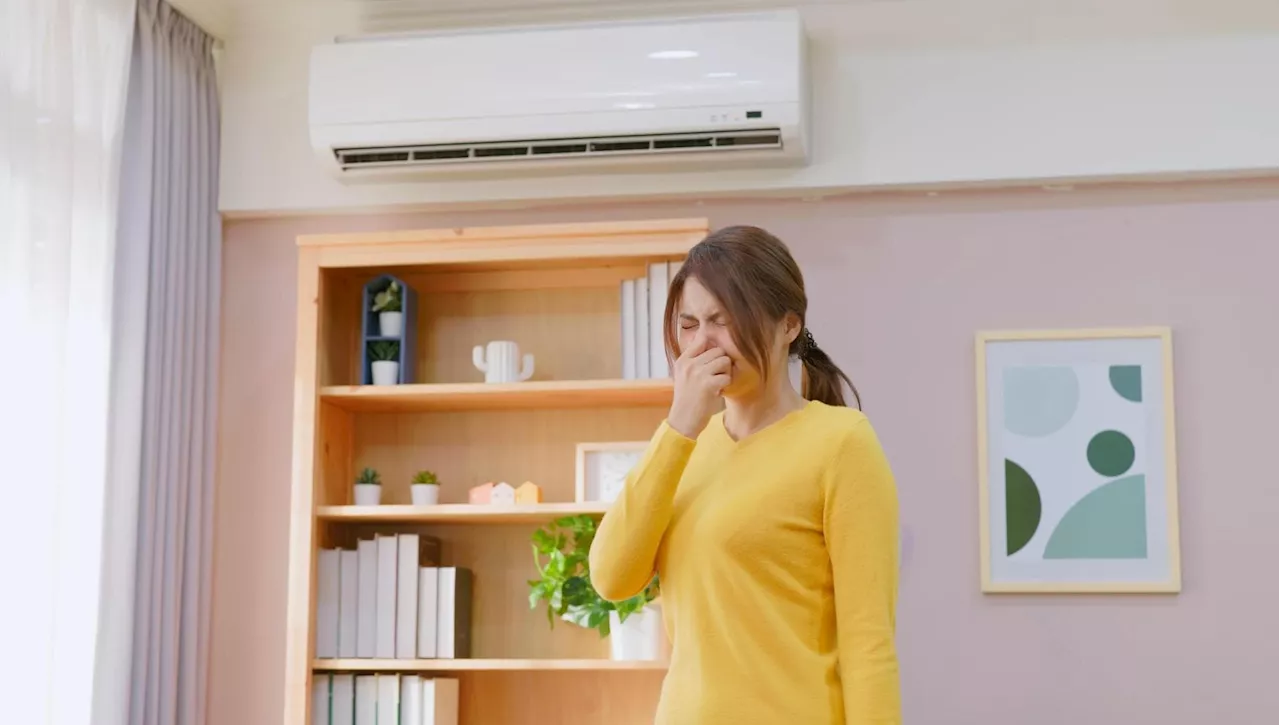 Come eliminare i cattivi odori in casa con metodi naturali
