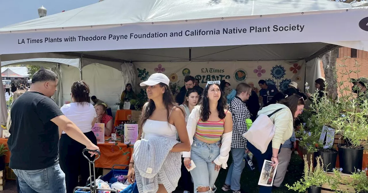 Immerse yourself in native plants at the L.A. Times Plants booth at Festival of Books