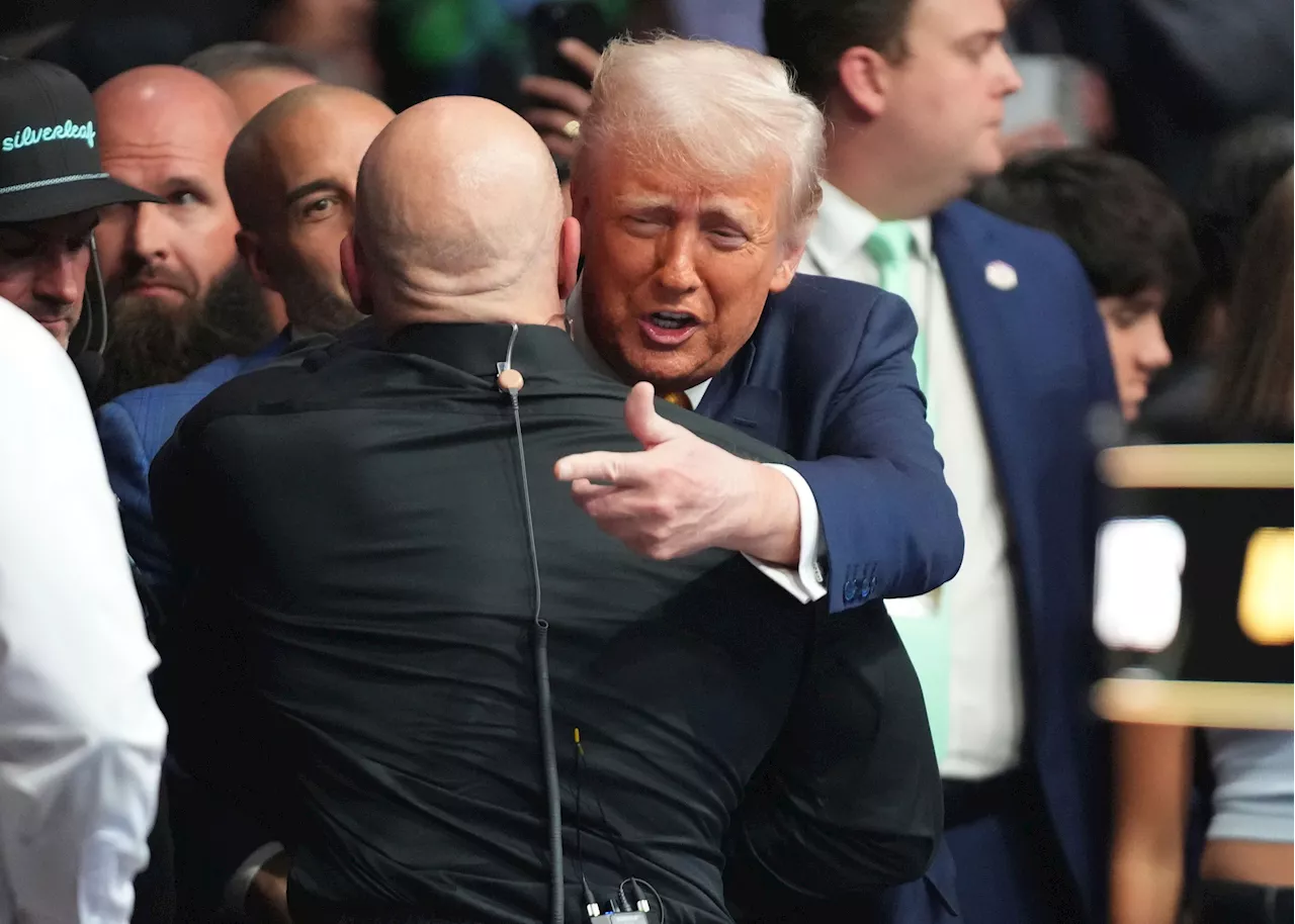 Trump sits cageside at Miami UFC event in his latest appearance at a sports event