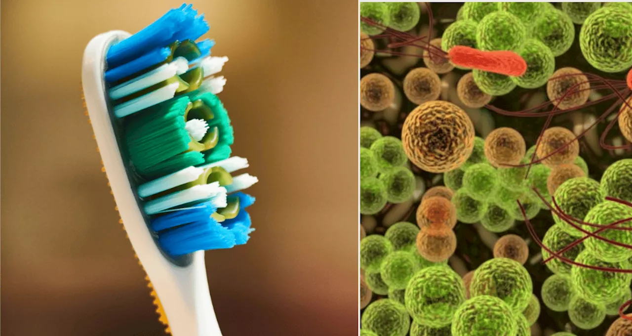 Una ortodoncista recomienda guardar el cepillo de dientes seco y en vertical para prevenir bacterias