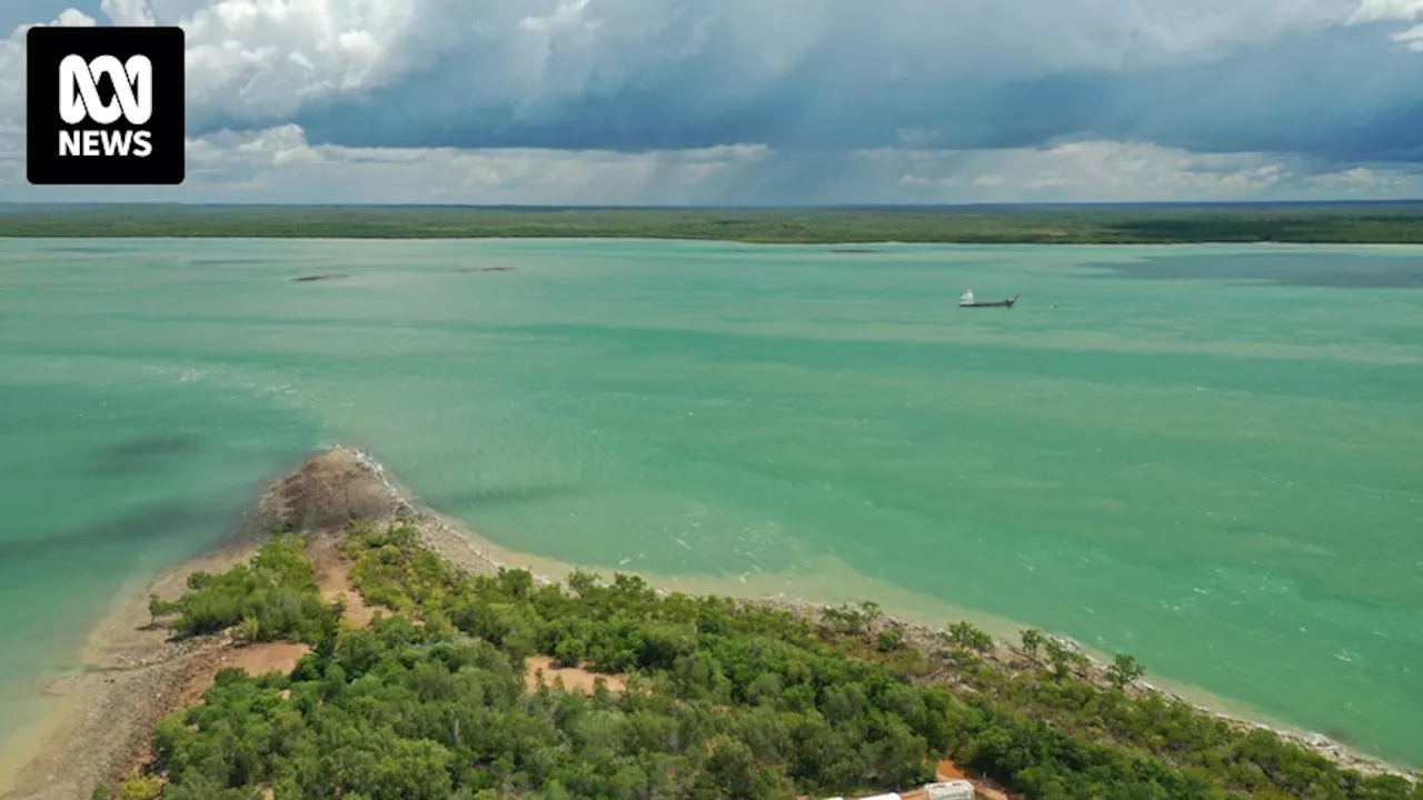 Federal MP casts doubt over NT's controversial planned Middle Arm industrial hub