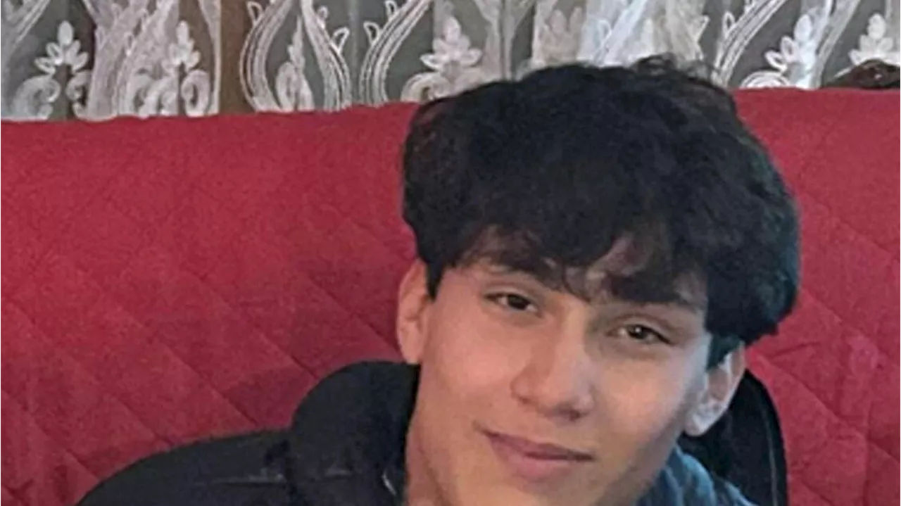 Ragazzo di 14 anni scomparso da una settimana, appello dei nonni
