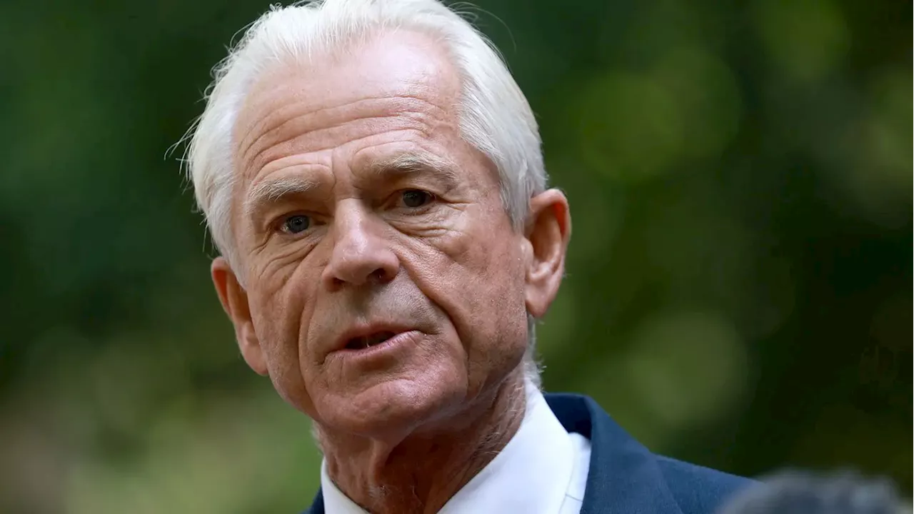 US: Trump’s adviser, Navarro, reacts as Musk calls him ‘moron’
