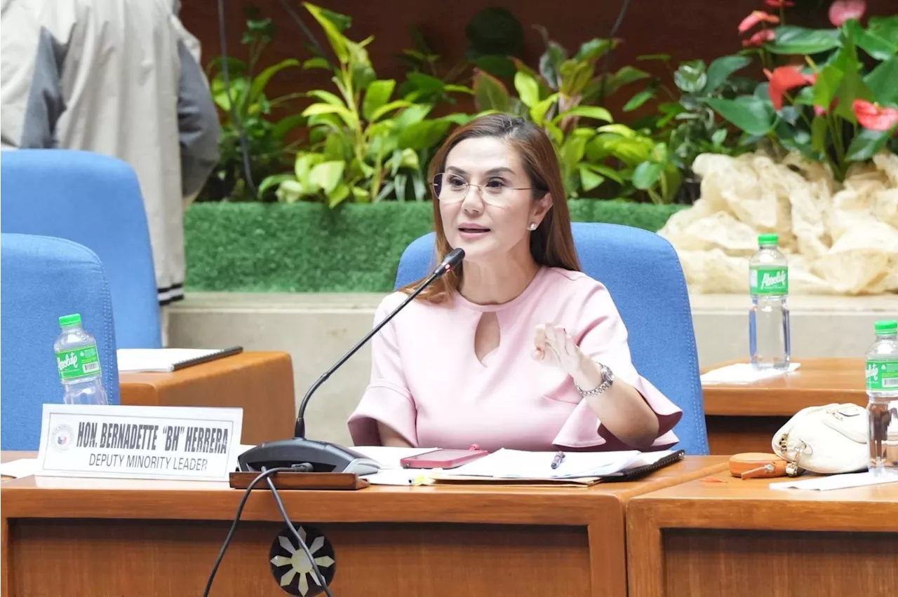 'Ano nangyari?': Herrera calls for House probe on MRT column collapse