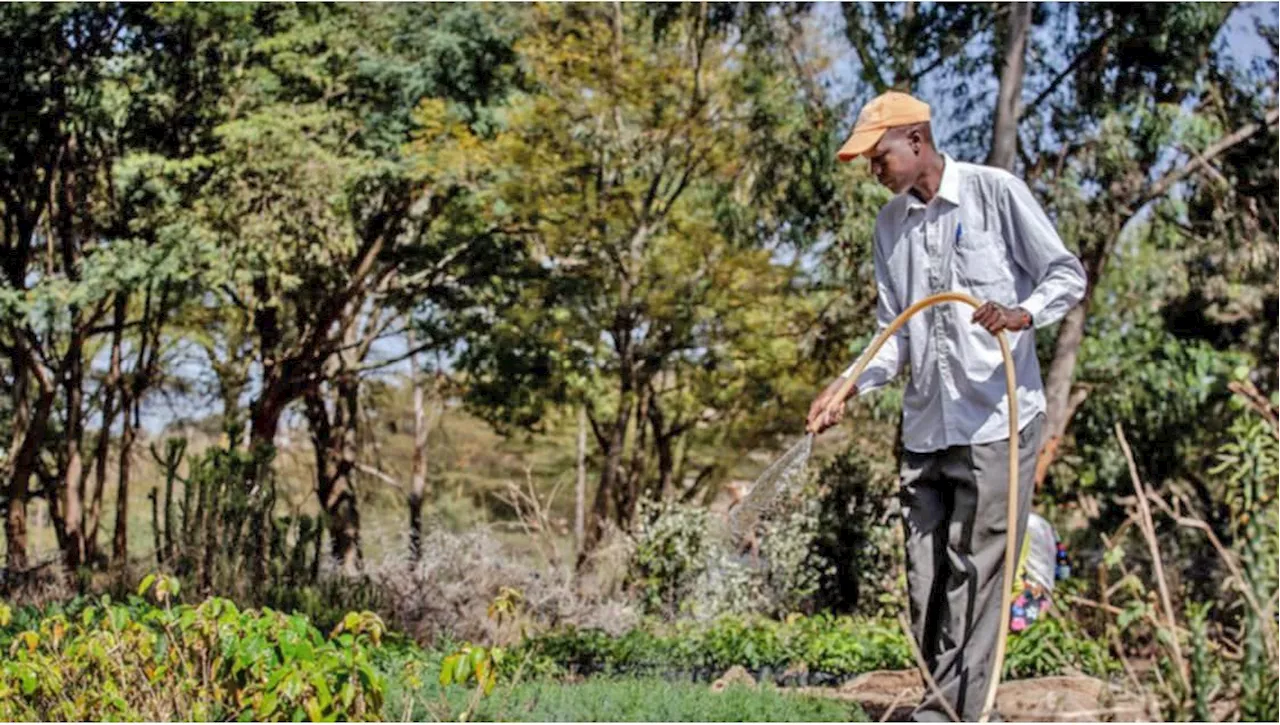 FAO celebrates global water and agriculture data milestone