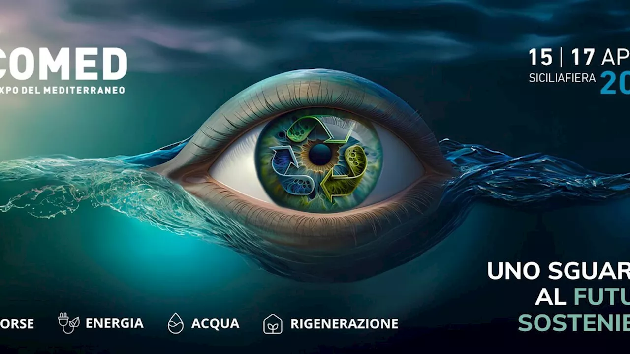 Barbaro, bene Ecomed, 'Sicilia hub energetico d'Europa'