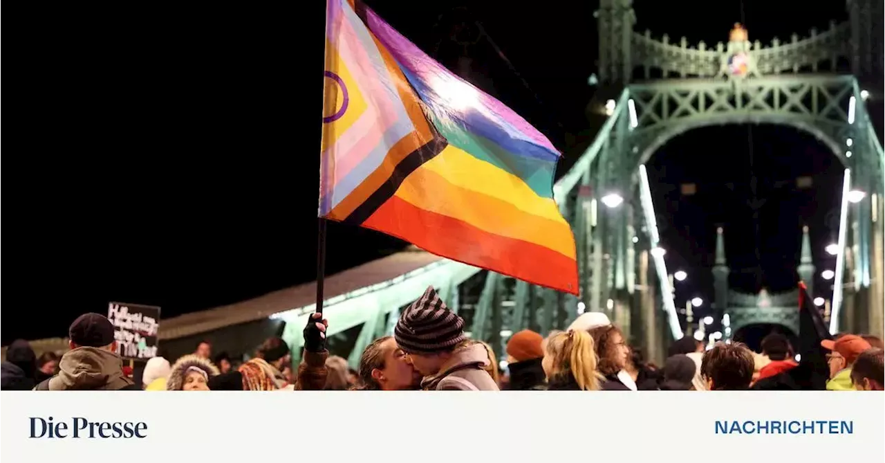 Mandatare von SPÖ und Grünen wollen zu verbotener Budapest Pride
