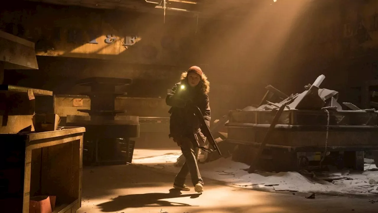 Forscher über 'The Last of Us' - Klimawandel – Sind 'echte' Zombie-Pilze im Anmarsch?