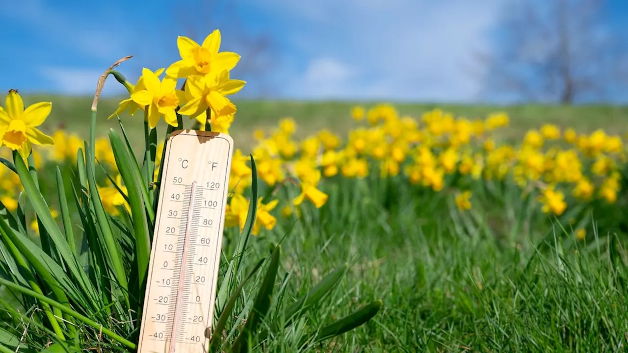 Saharastaub, bald 27 Grad! - 'Außergewöhnlich warm' – jetzt kommt der Sommer