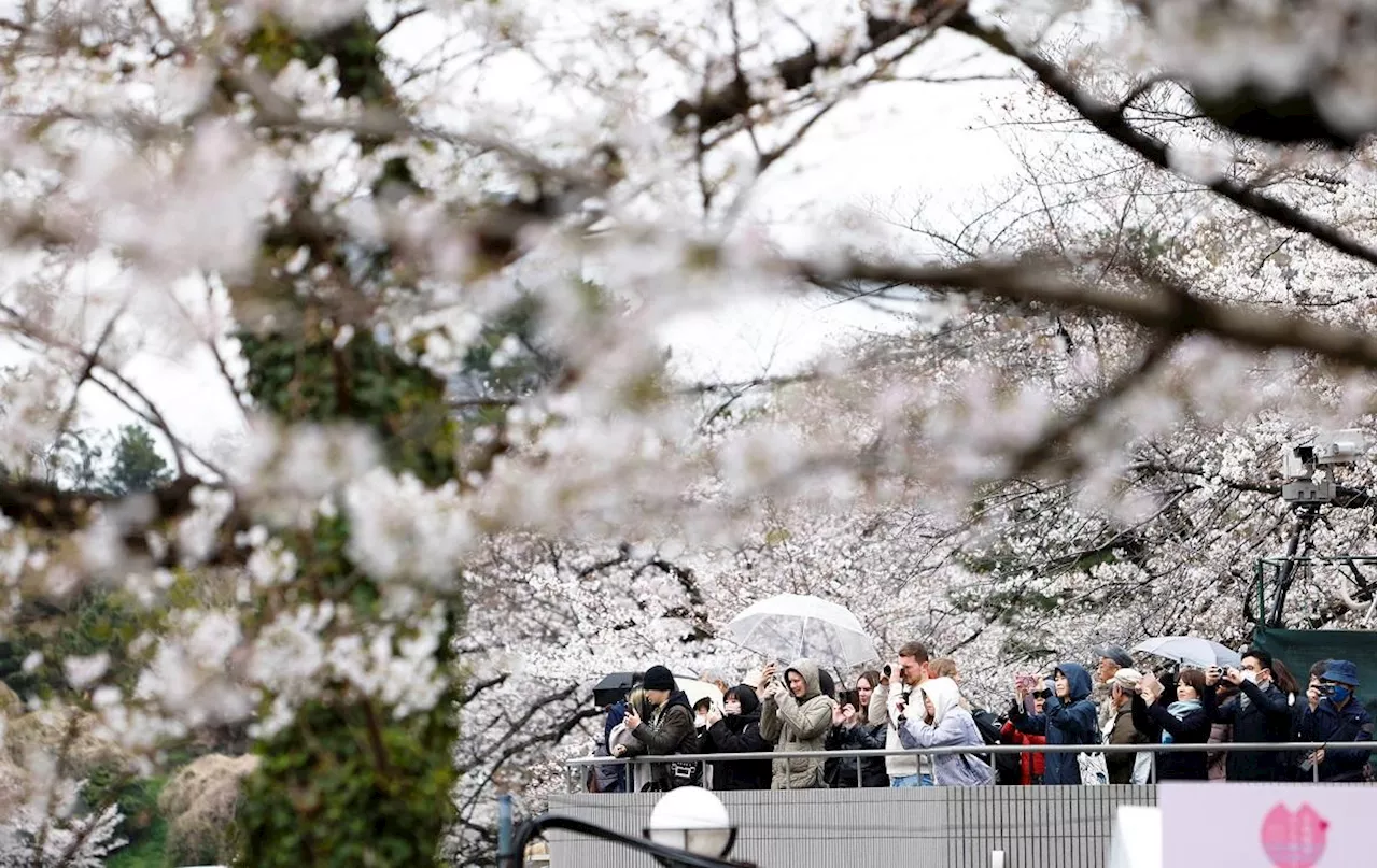 Japan crosses 10 million visitors through March at fastest ever pace