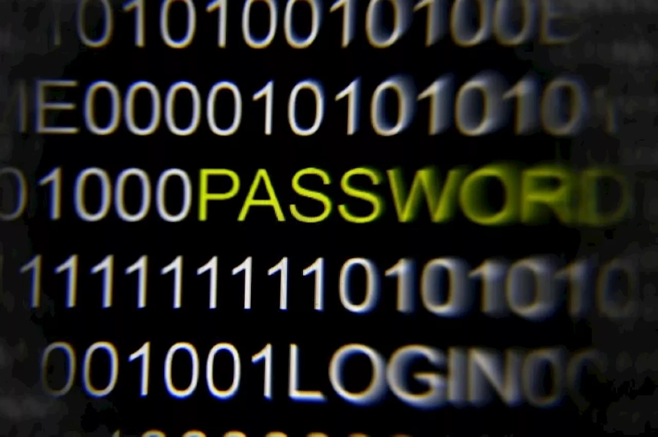 ‘U GOT HACKED’: Notorious message board 4chan breach sparks concerns over leaked backend data, moderator exposure