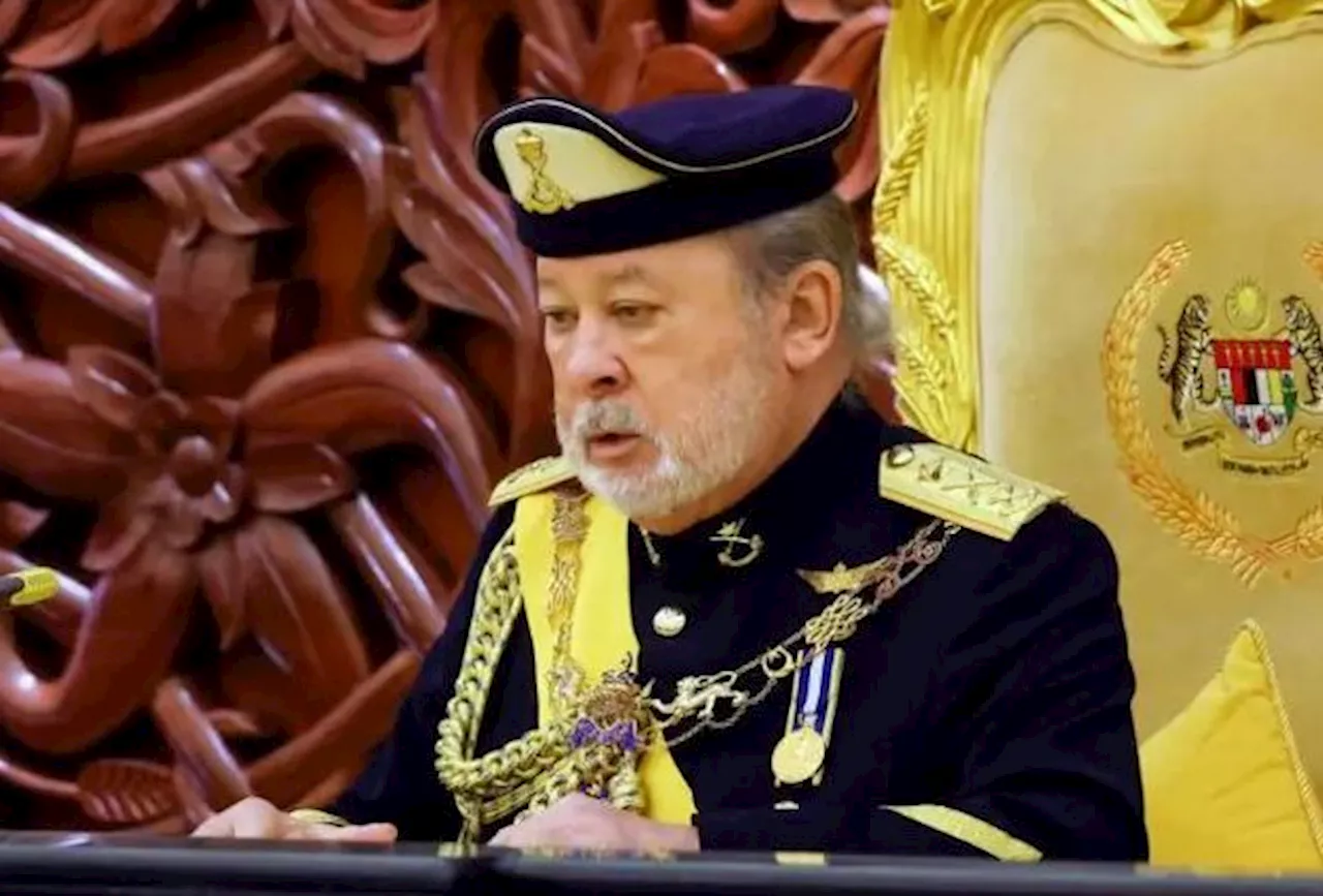 Mistake on Jalur Gemilang unacceptable, says King