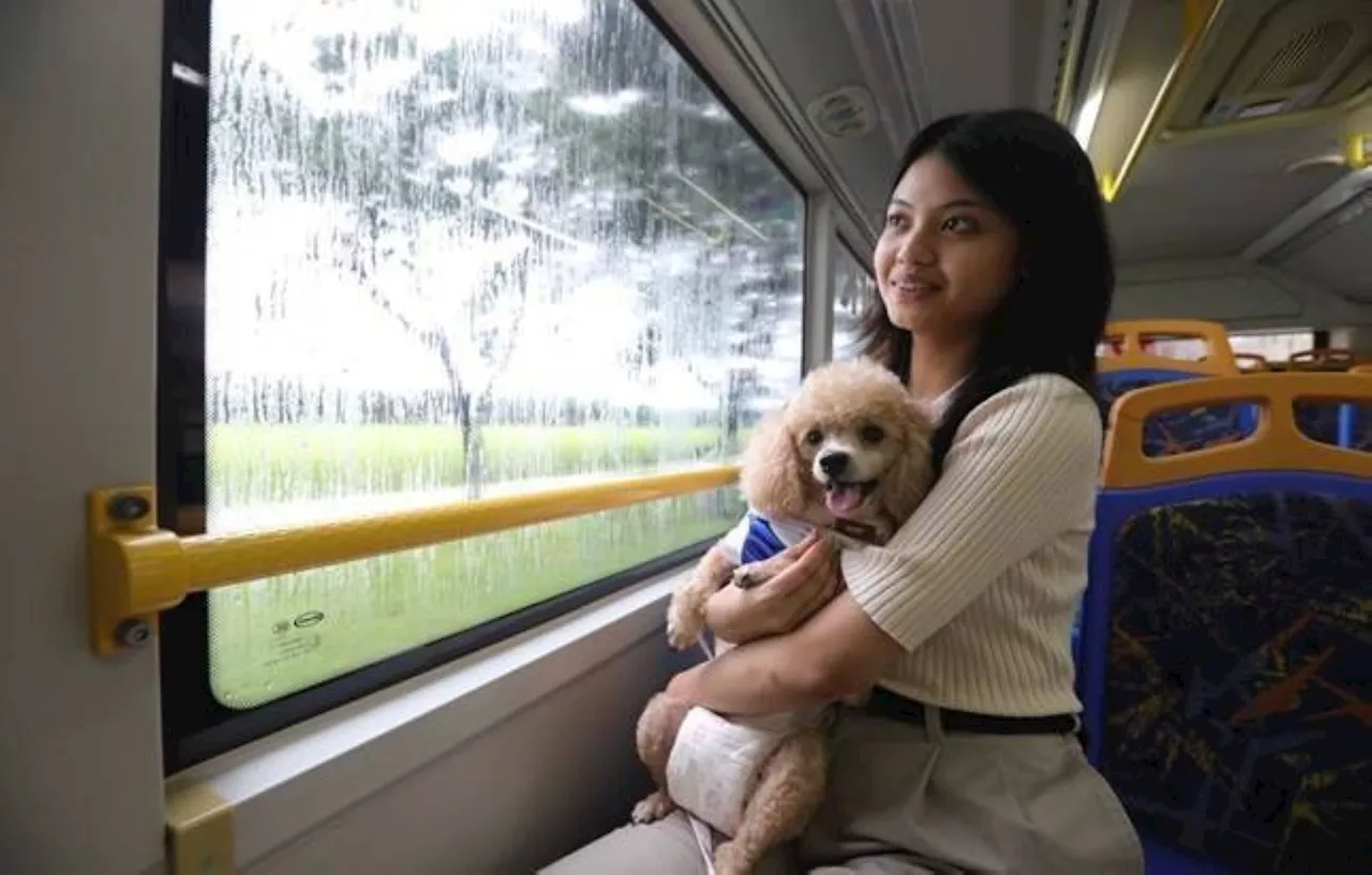 Clark Development Corporation enhances pet policy guidelines