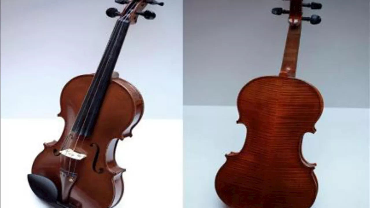 Man charged after expensive violin stolen on CTA Blue Line, Chicago police say