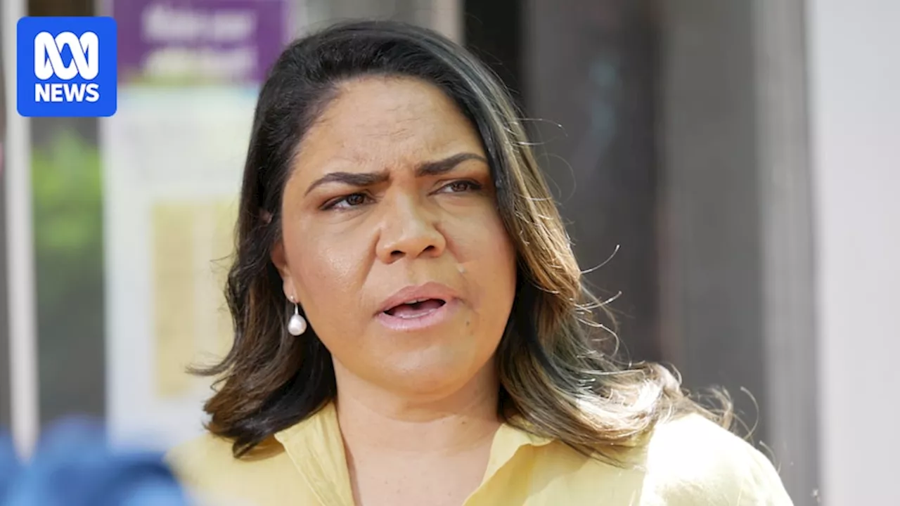 NT Coalition candidate Lisa Siebert diverges from Jacinta Nampijinpa Price on royal commission call