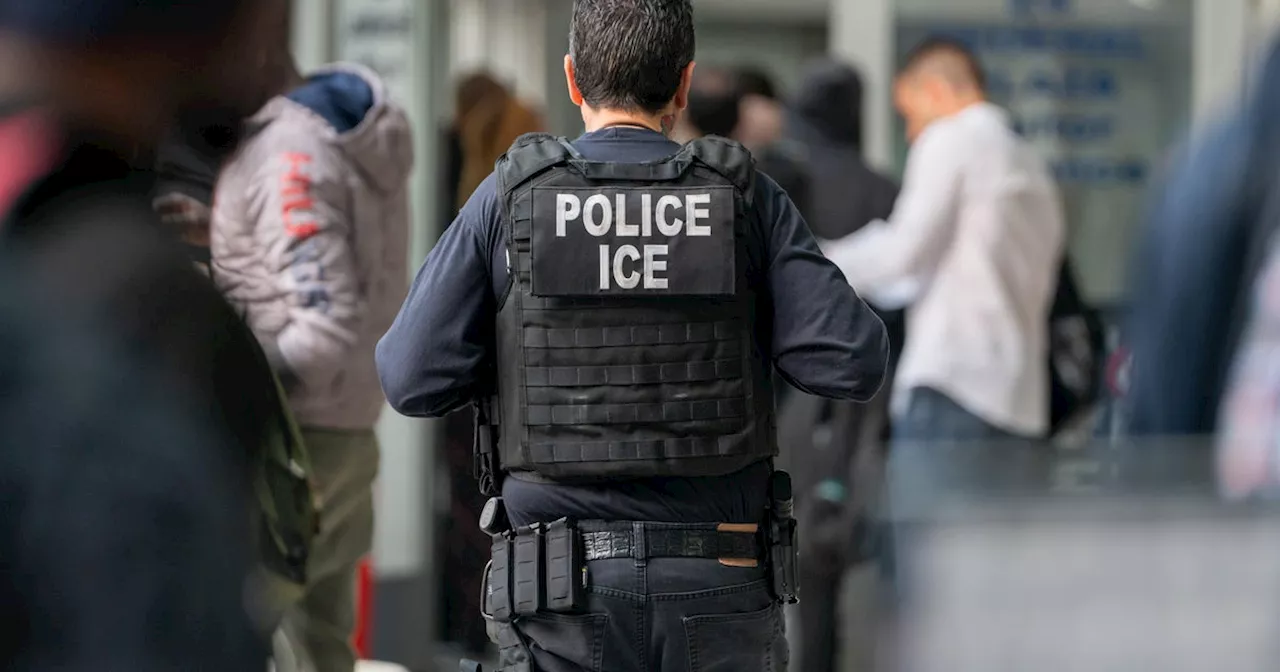 ICE says more than 200 illegal immigrants apprehended in NYC-area operation