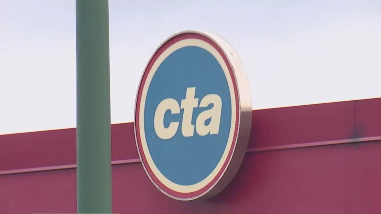 13-year-old boy shot on CTA Red Line train on Chicago's South Side: police