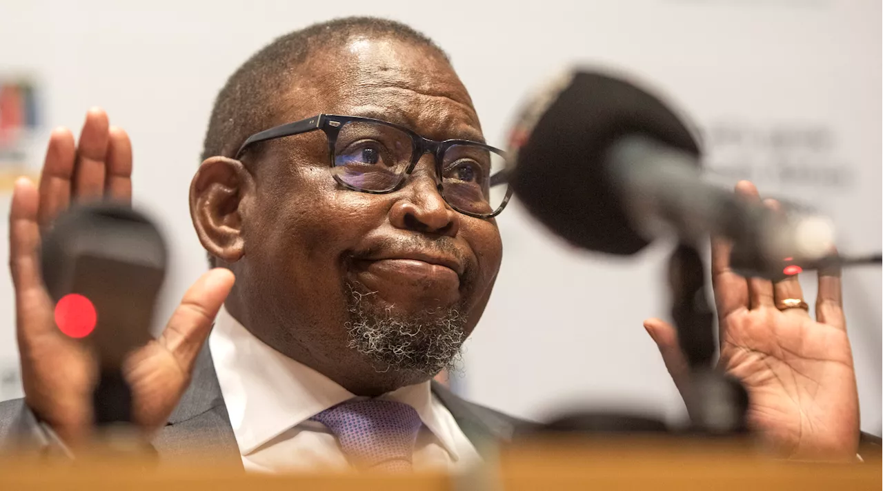 Godongwana tells court VAT increase cannot be interdicted